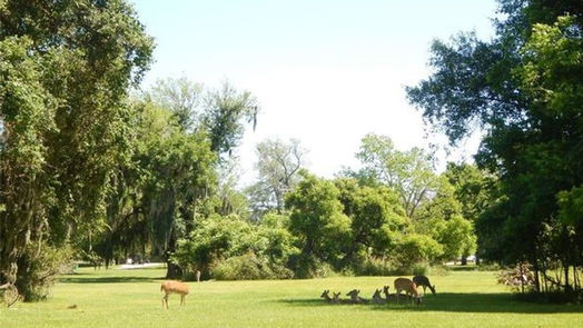 Angleton null-story, null-bed 762 Stallion Circle-idx