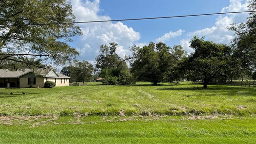 Angleton null-story, null-bed 317 Wagon Wheel Trail-idx
