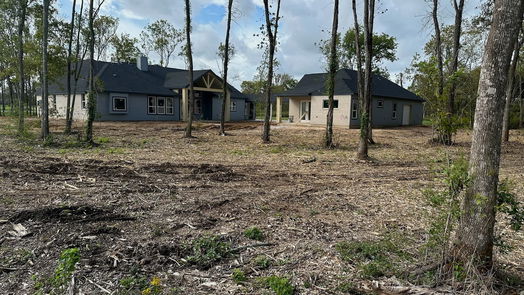 Angleton 1-story, 4-bed 22526 Pittman Drive-idx