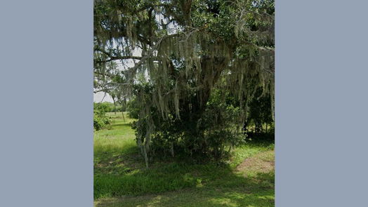 Angleton null-story, null-bed 0 Turning Bayou Trail-idx