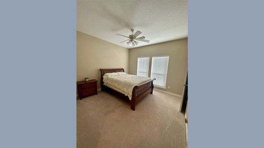 Angleton 1-story, 3-bed 1111 Spreading Oaks Drive-idx