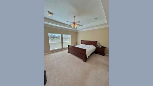 Angleton 1-story, 3-bed 1111 Spreading Oaks Drive-idx