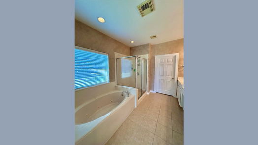 Angleton 1-story, 3-bed 1111 Spreading Oaks Drive-idx