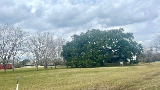 Angleton 1-story, 3-bed 202 Horse Shoe Trail-idx