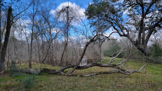 Angleton null-story, null-bed 1888 Colony Lane-idx