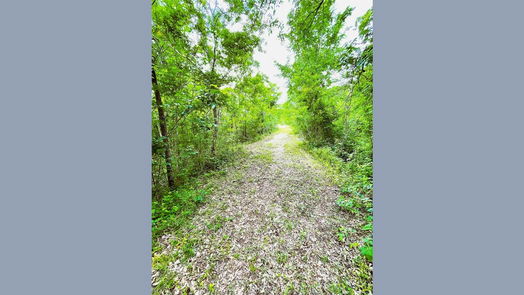 Angleton 1-story, 3-bed 5135 County Road 288-idx