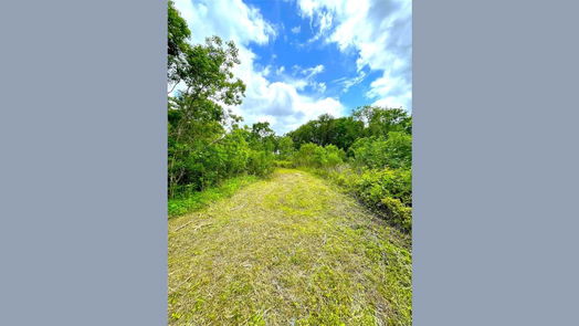 Angleton 1-story, 3-bed 5135 County Road 288-idx