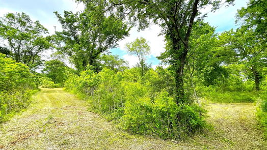 Angleton 1-story, 3-bed 5135 County Road 288-idx
