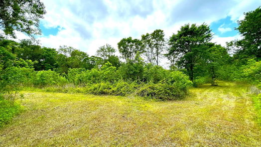 Angleton 1-story, 3-bed 5135 County Road 288-idx