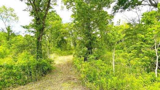 Angleton 1-story, 3-bed 5135 County Road 288-idx