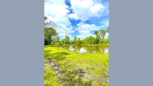 Angleton 1-story, 3-bed 5135 County Road 288-idx