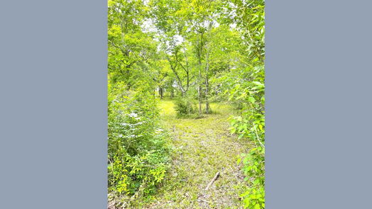 Angleton 1-story, 3-bed 5135 County Road 288-idx