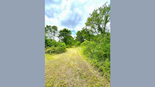 Angleton 1-story, 3-bed 5135 County Road 288-idx