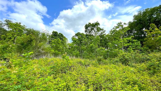 Angleton 1-story, 3-bed 5135 County Road 288-idx