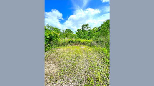 Angleton 1-story, 3-bed 5135 County Road 288-idx