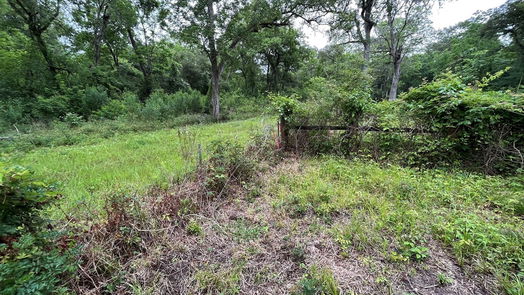 Angleton null-story, null-bed 2872 Brazoria County Road-idx