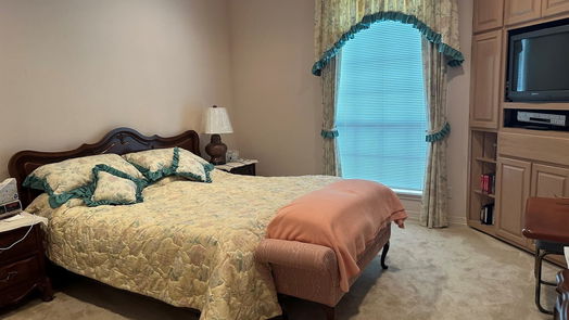 Angleton null-story, 3-bed 22 Chuckwagon Court-idx