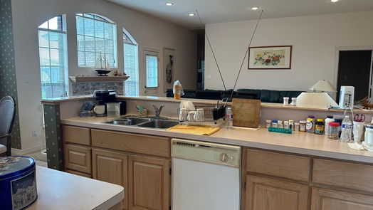 Angleton null-story, 3-bed 22 Chuckwagon Court-idx