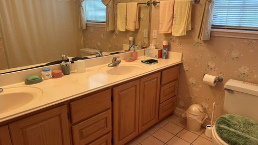 Angleton null-story, 3-bed 22 Chuckwagon Court-idx