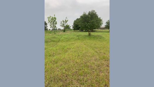 Angleton null-story, null-bed 224 Cripple Creek Lane-idx