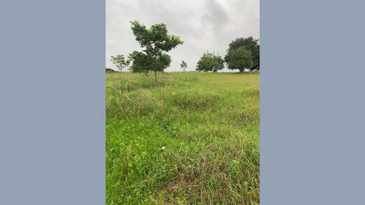 Angleton null-story, null-bed 224 Cripple Creek Lane-idx