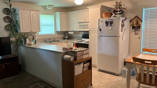 Angleton 2-story, 4-bed 227 E Phillips Road E-idx