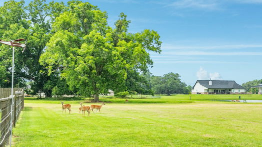 Angleton null-story, 5-bed 814 Mill Road-idx