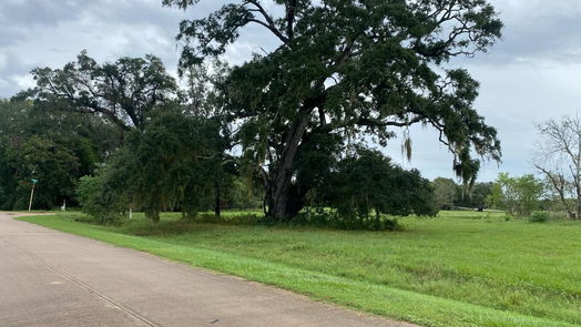 Angleton null-story, null-bed 401 Stagecoach Trail-idx