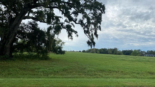 Angleton null-story, null-bed 401 Stagecoach Trail-idx