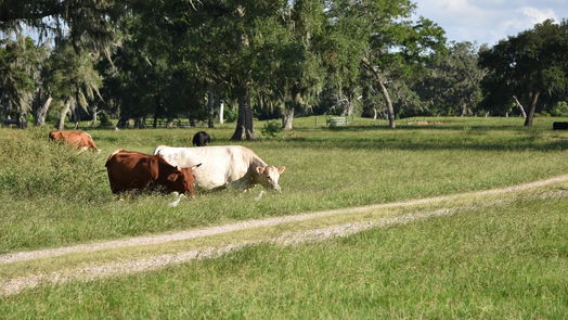 Angleton 1-story, 3-bed 5300 U-Pond Drive/County Road 611-idx