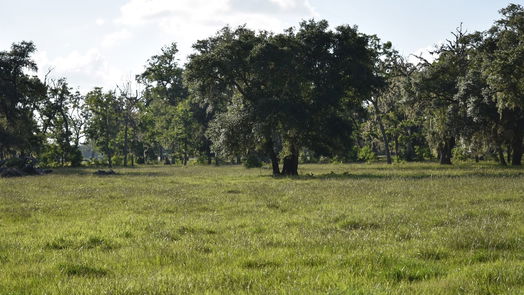 Angleton 1-story, 3-bed 5300 U-Pond Drive/County Road 611-idx