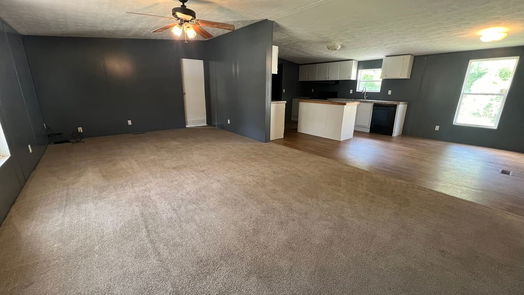 Angleton 1-story, 3-bed 119 County Road 454a-idx