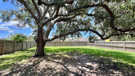 Angleton 1-story, 3-bed 2833 Rimfire Drive-idx