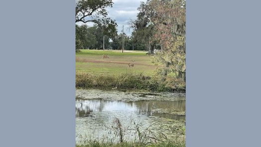 Angleton null-story, null-bed 608 Wagon Wheel Trail-idx