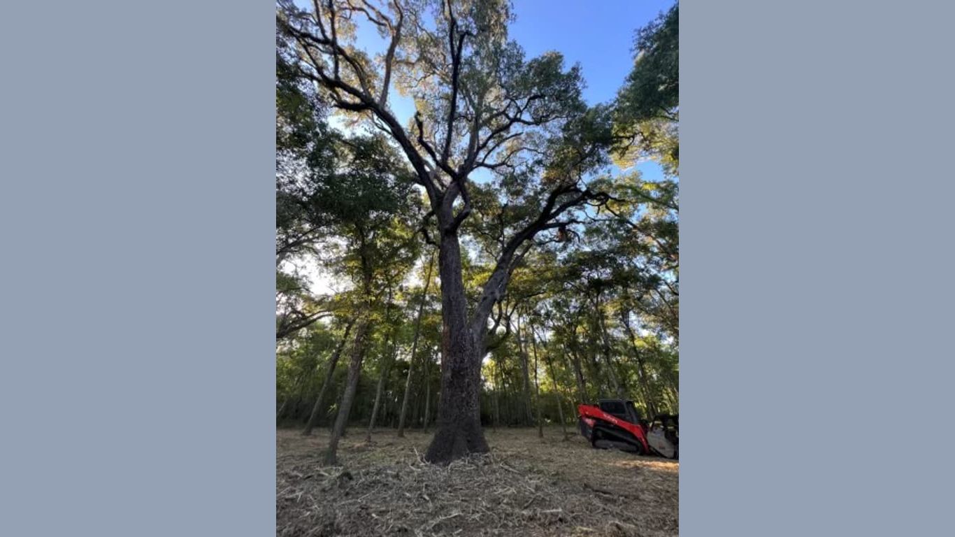 Angleton null-story, null-bed 658 Pony Trail-idx