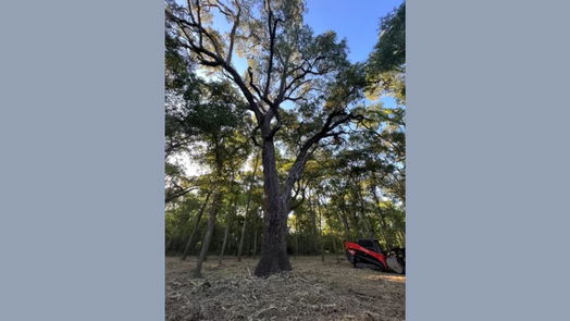 Angleton null-story, null-bed 658 Pony Trail-idx