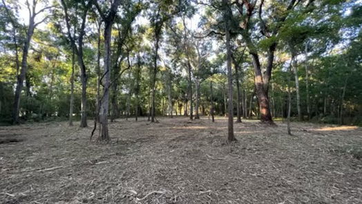 Angleton null-story, null-bed 658 Pony Trail-idx
