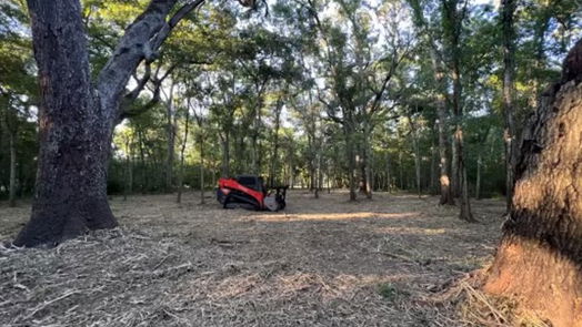 Angleton null-story, null-bed 658 Pony Trail-idx