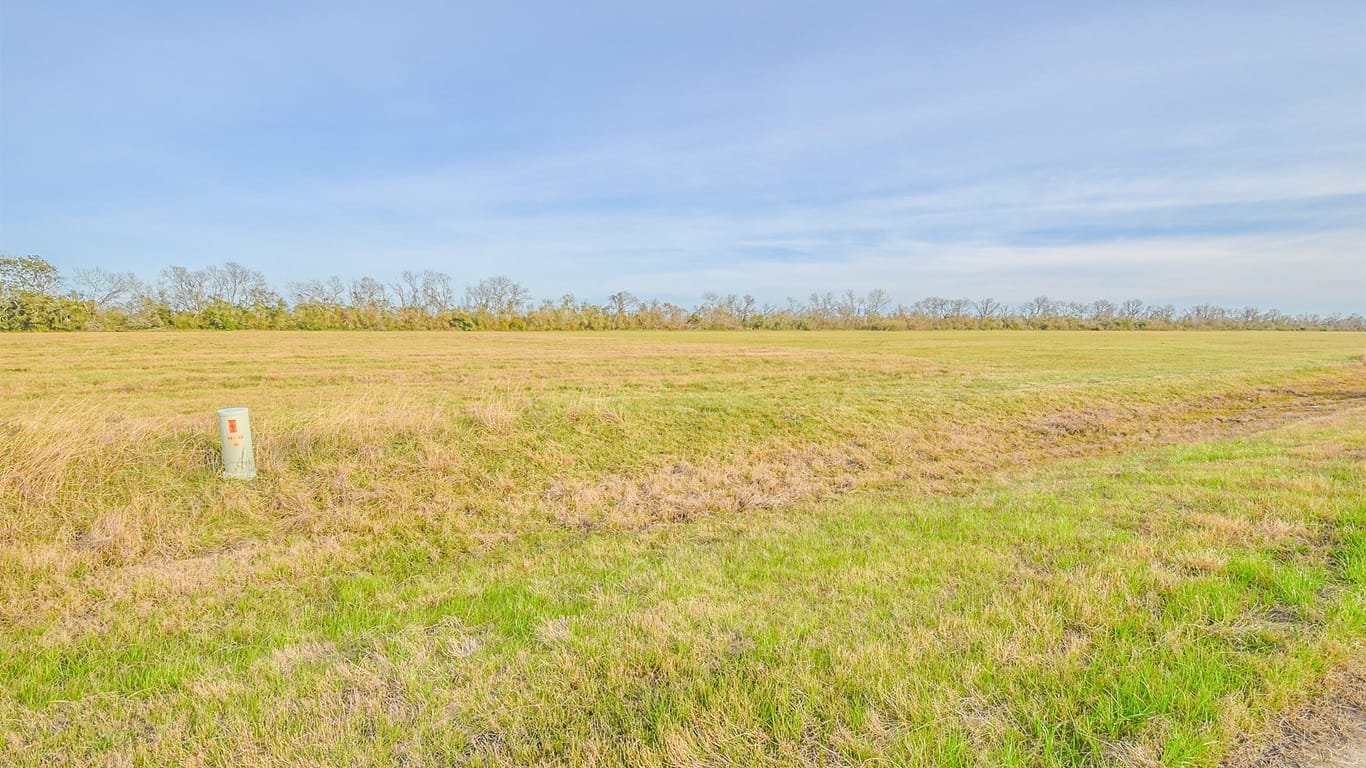 Angleton null-story, null-bed 1 Brahman Trail-idx