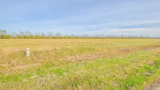 Angleton null-story, null-bed 1 Brahman Trail-idx