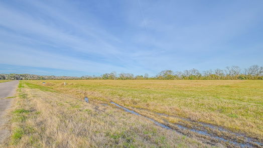 Angleton null-story, null-bed 1 Brahman Trail-idx