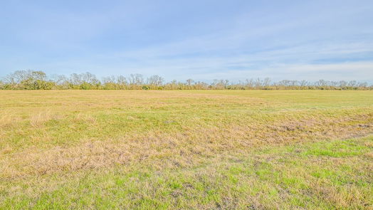Angleton null-story, null-bed 1 Brahman Trail-idx
