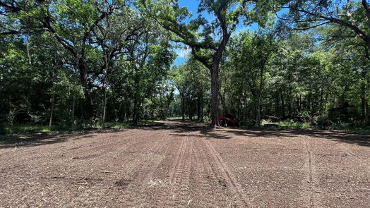 Angleton null-story, null-bed 658 Pony Trail-idx