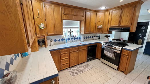 Angleton 1-story, 3-bed 16 S Erik Drive-idx