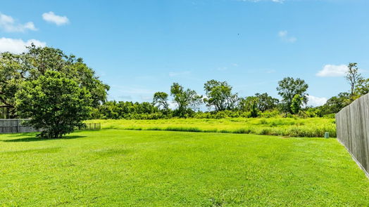 Angleton 1-story, 3-bed 1111 Spreading Oaks Drive-idx