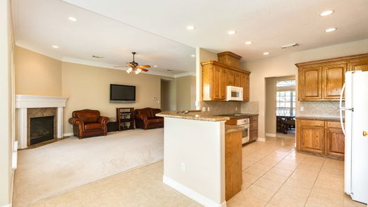 Angleton 1-story, 3-bed 1111 Spreading Oaks Drive-idx