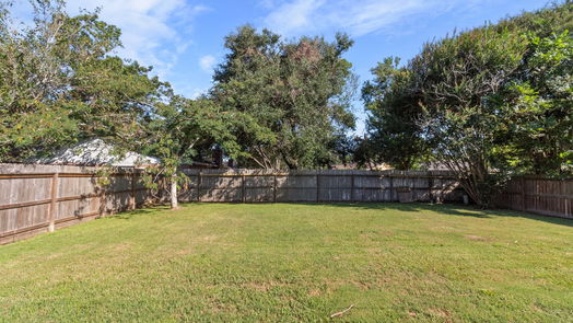 Angleton 1-story, 3-bed 17 Lobo Court-idx