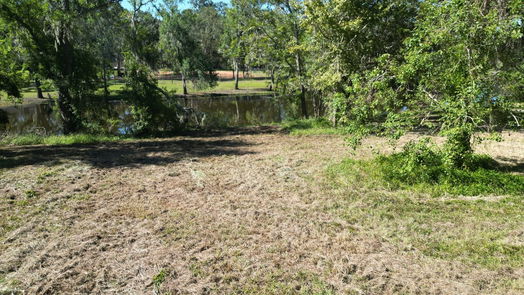Angleton null-story, null-bed 1249 Angus Court-idx