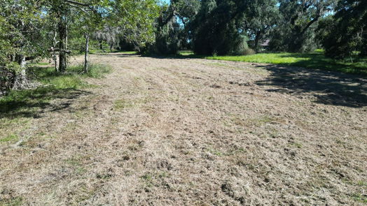 Angleton null-story, null-bed 1249 Angus Court-idx