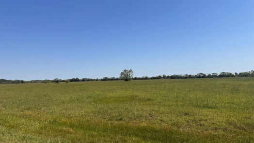 Angleton null-story, null-bed 208 Brahman Trail-idx